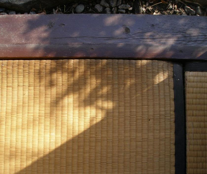 Shadows on tatami 021812
