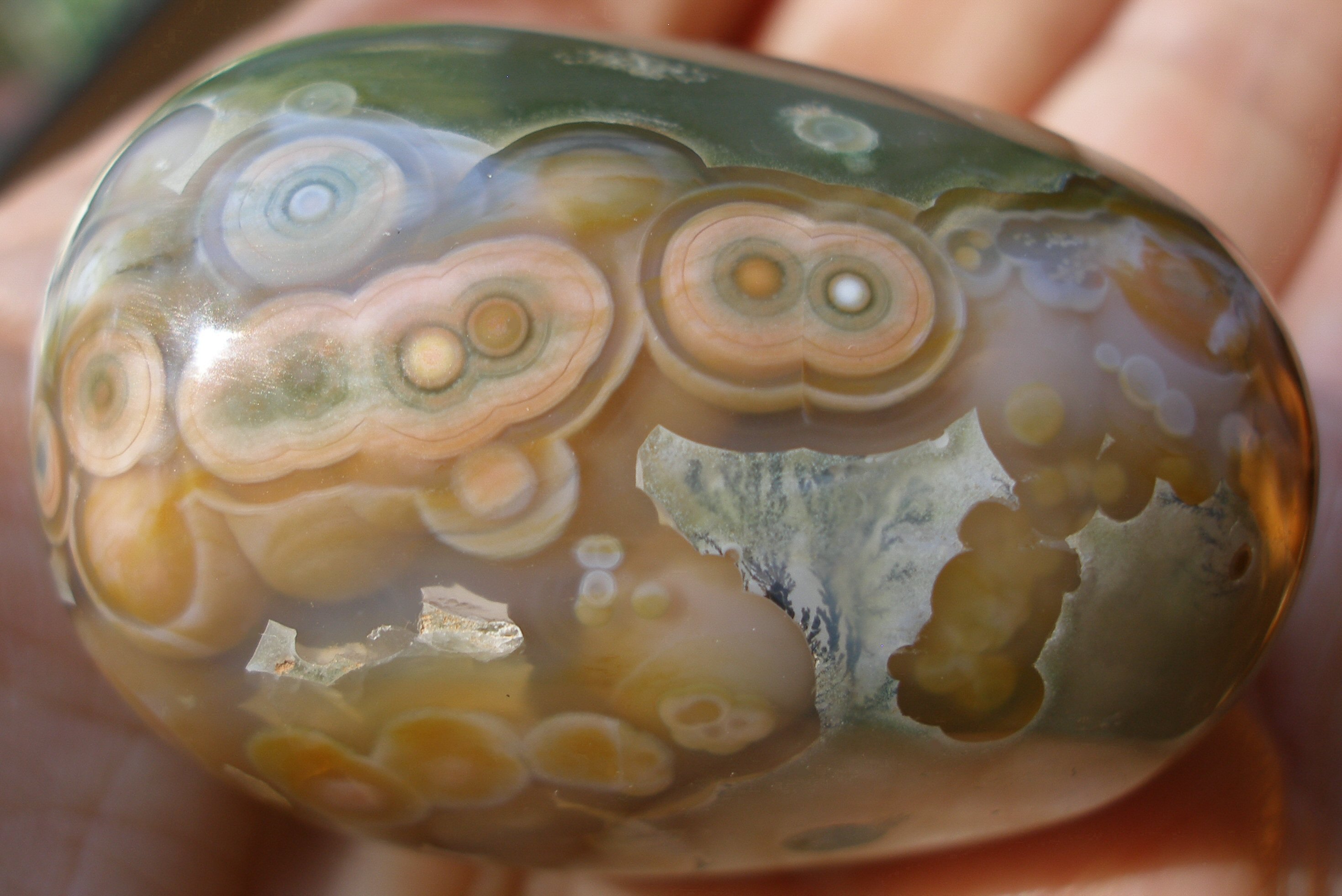 OLYMPUS DIGITAL CAMERA