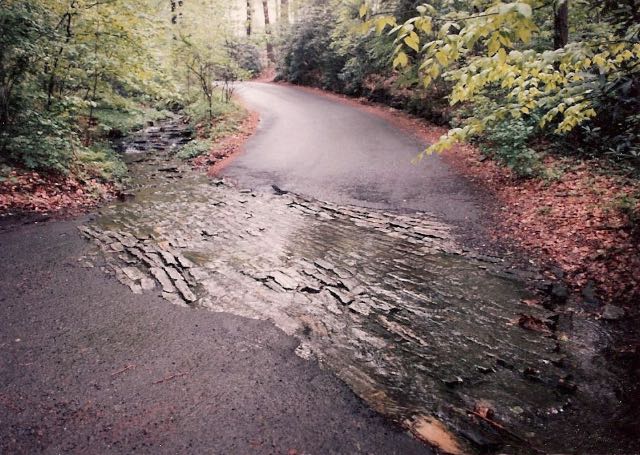 Dale Rd stream - 2016-05-31 at 06-40-20