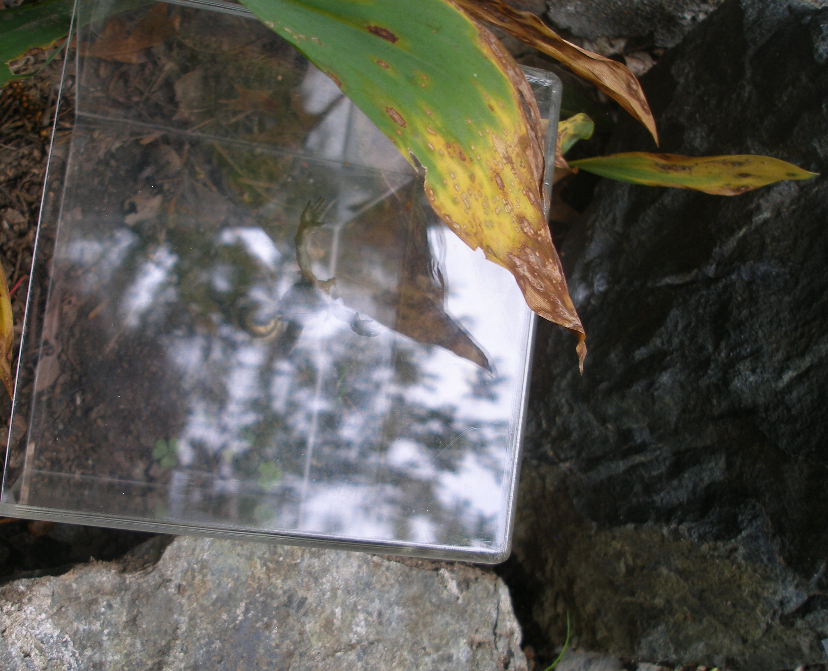 OLYMPUS DIGITAL CAMERA