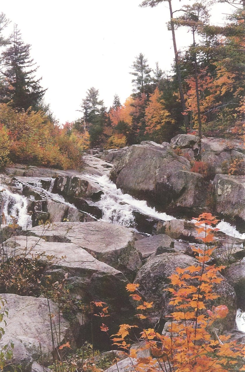 Jackson Falls - org & grn