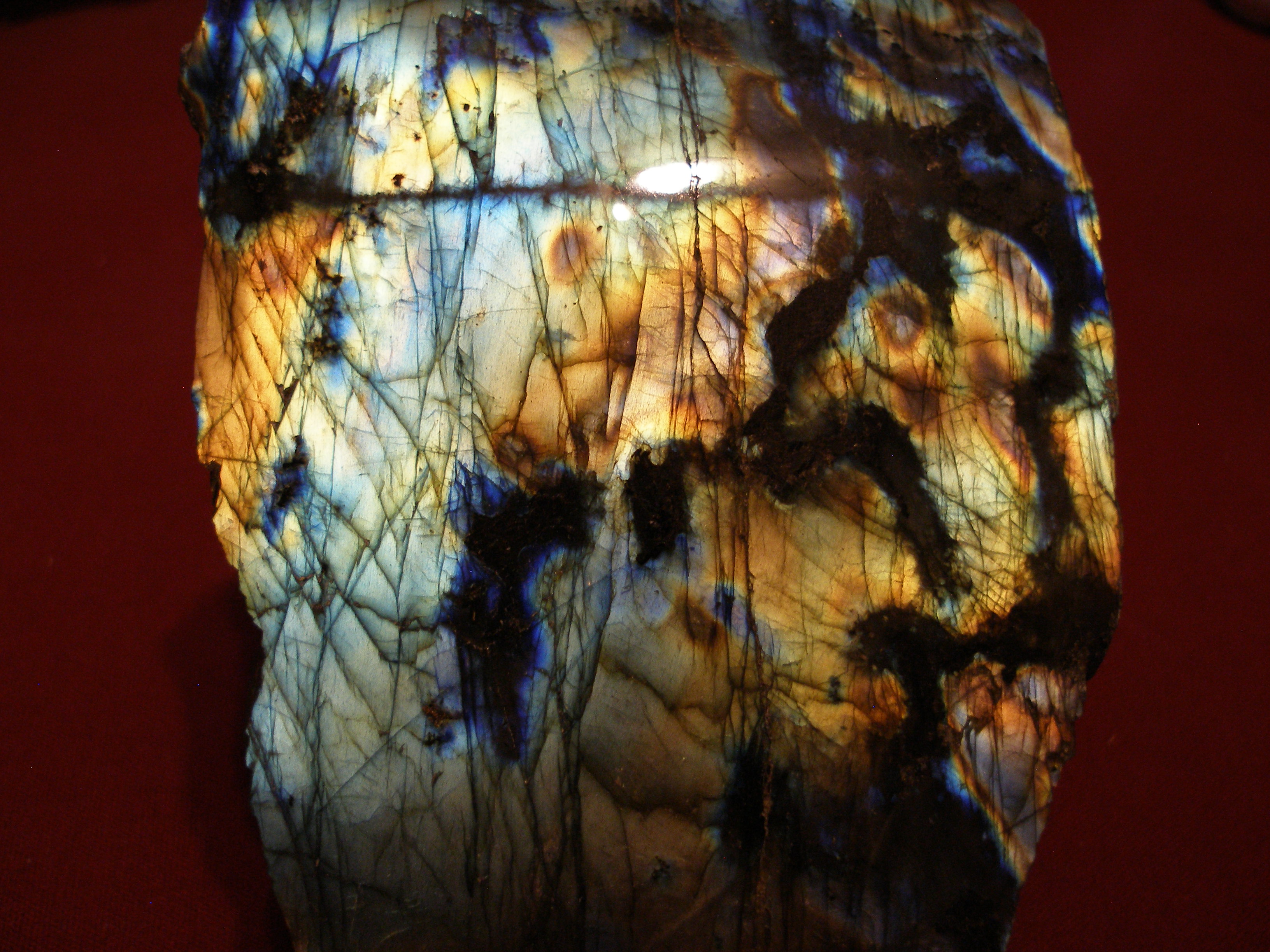 OLYMPUS DIGITAL CAMERA