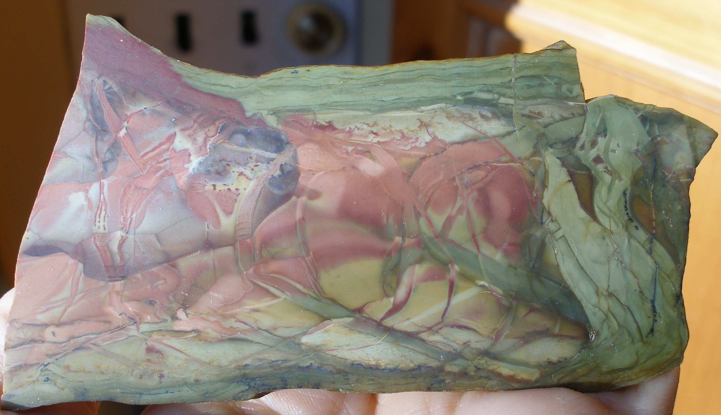 OLYMPUS DIGITAL CAMERA