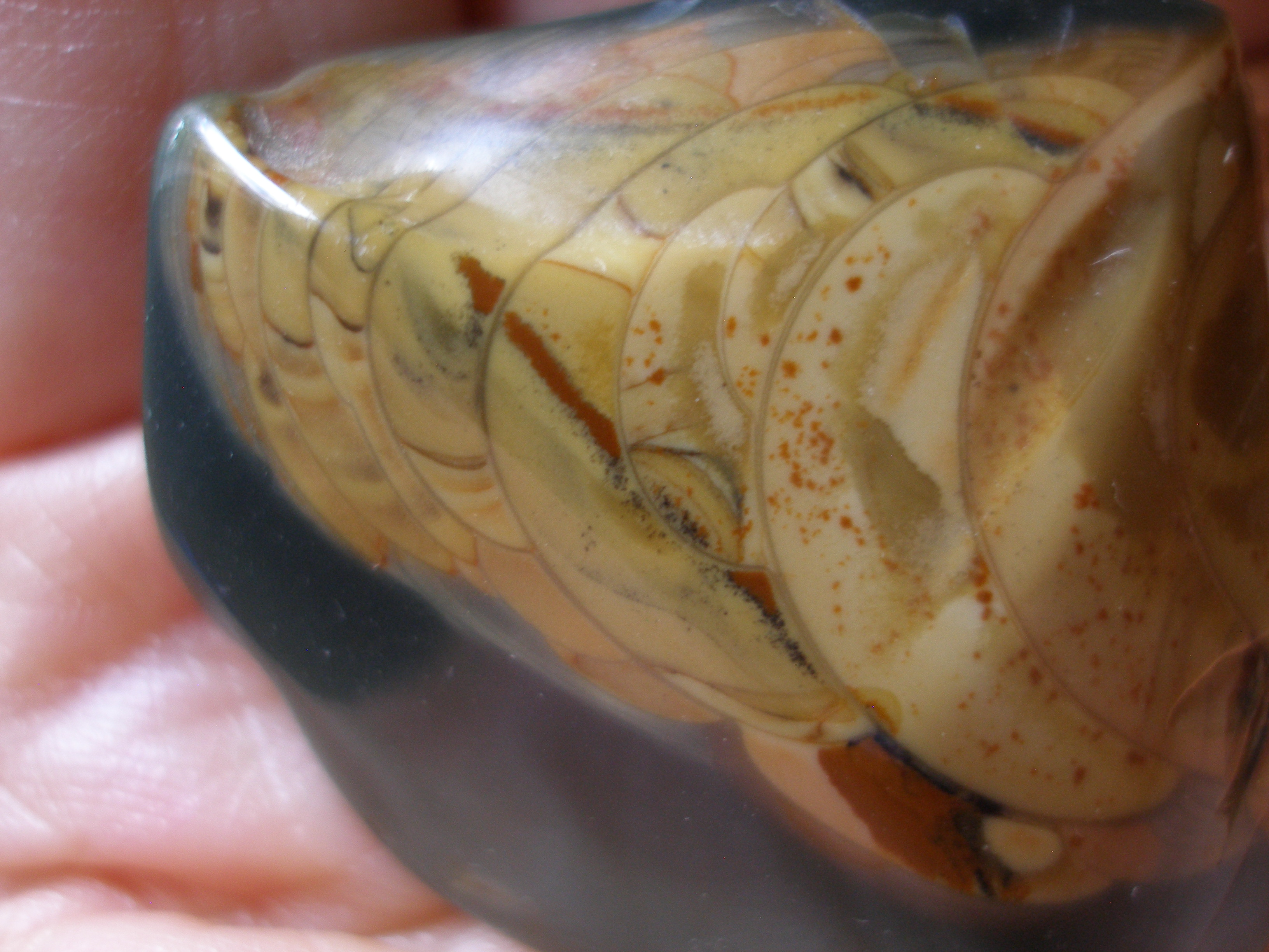 OLYMPUS DIGITAL CAMERA